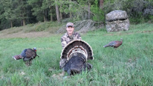 Spring Turkey