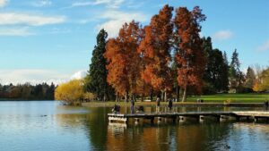 urban fishing on Greenlake, lake fishing, and trout fishing