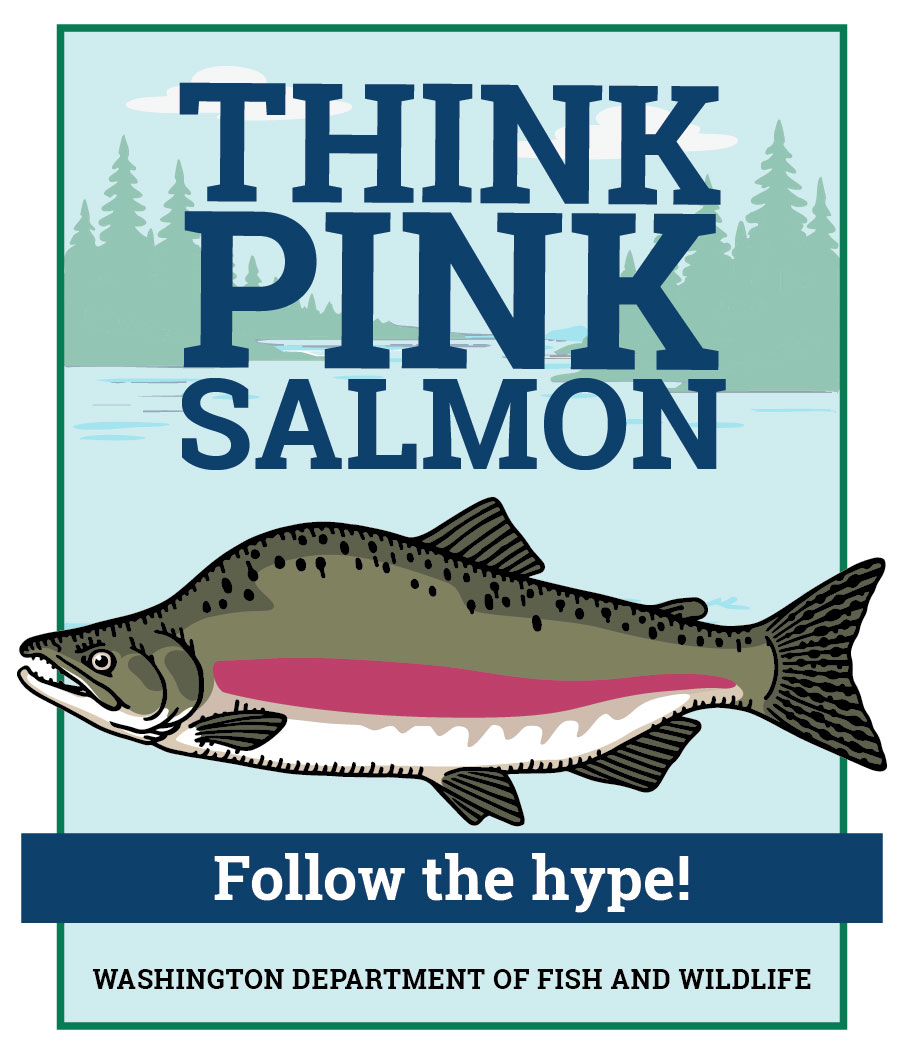 Think Pink Salmon Logo_final-01