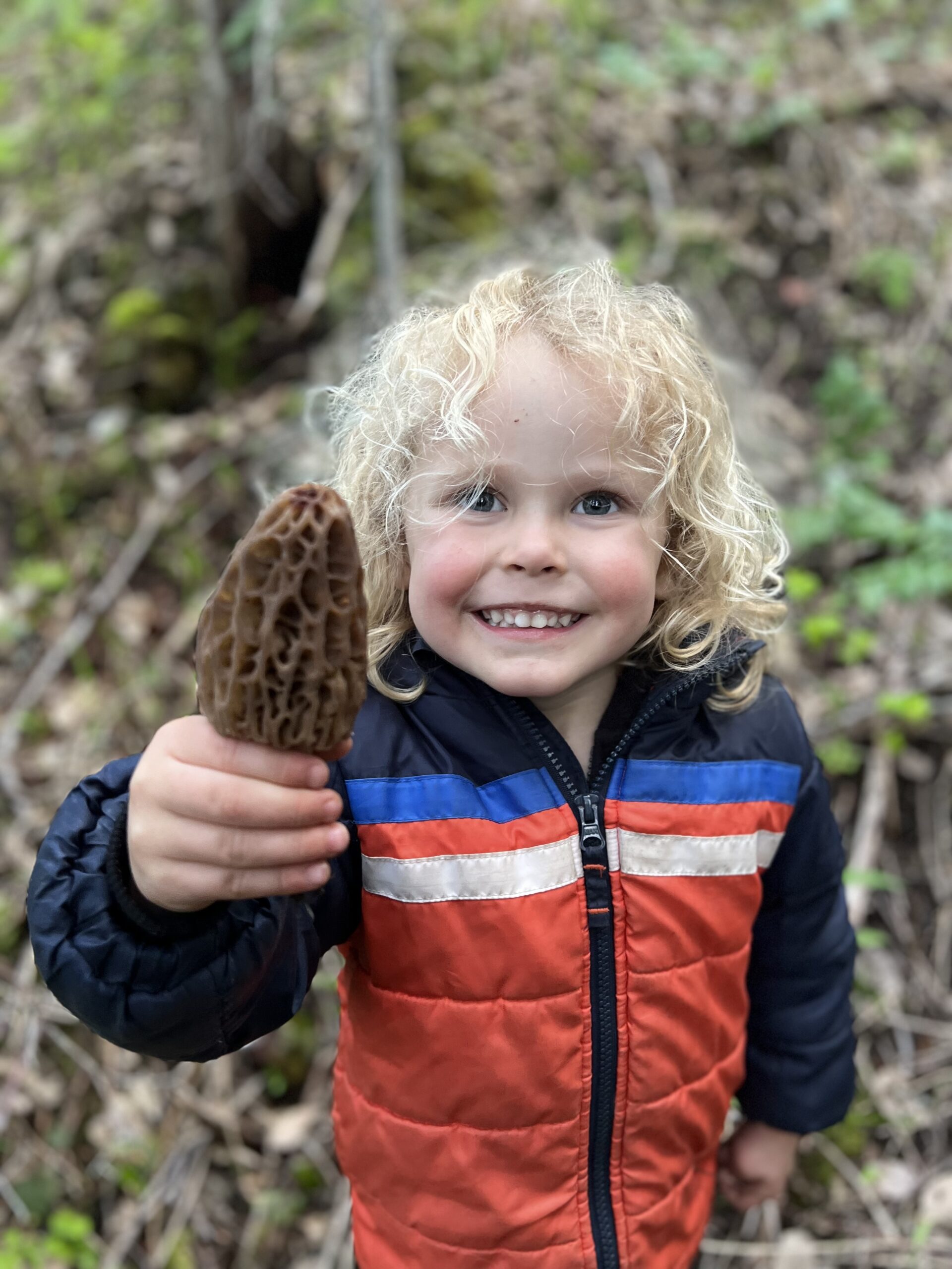 Smiling three year old holds a large morel mushroom